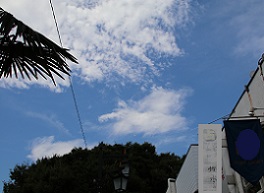IMG_1705-3.jpg