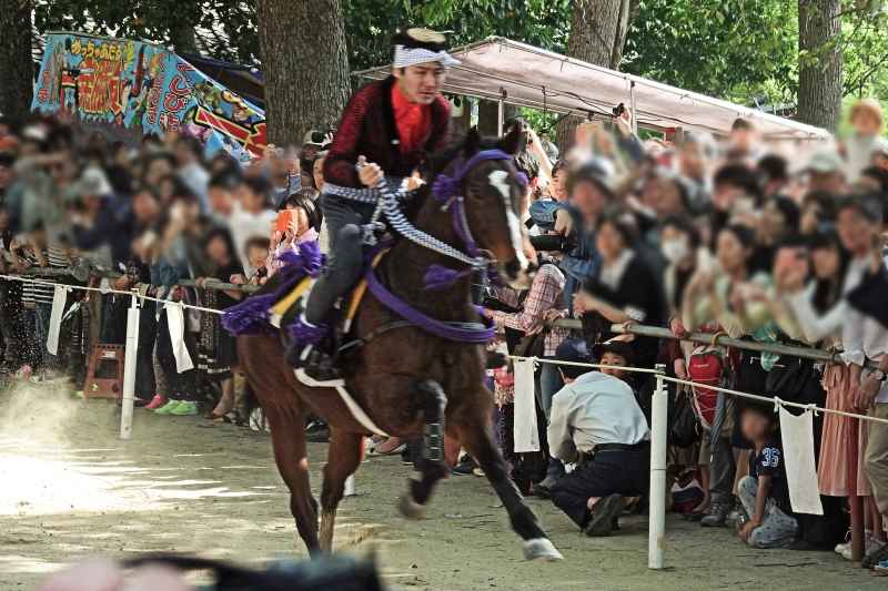 馬と一体！駆ける！ 駈馬神事 藤森神社 | お散歩うさぎさんのブログ 《京都・いろ色》 - 楽天ブログ