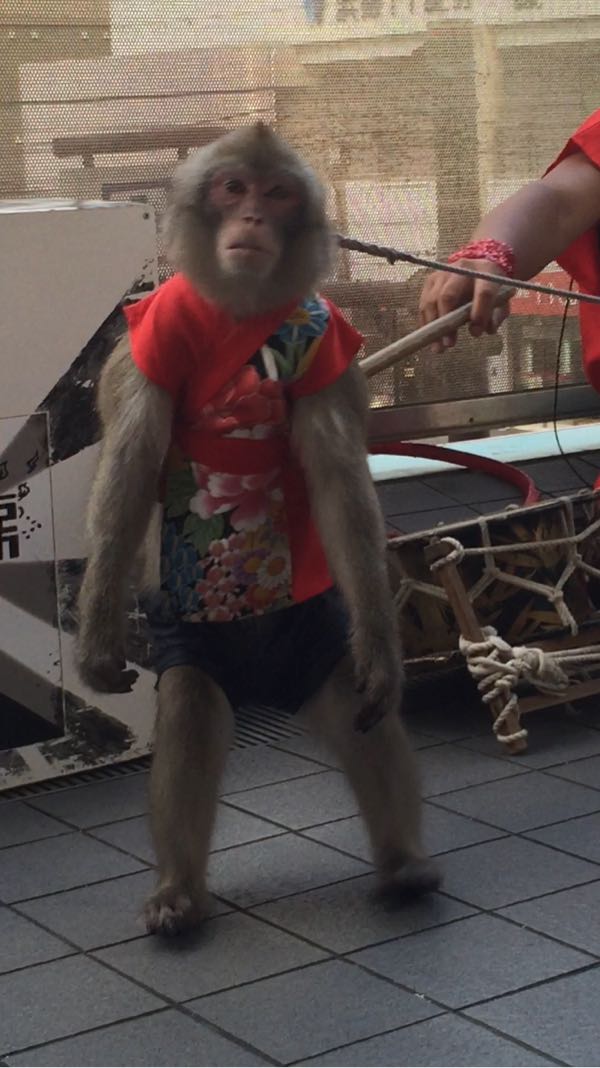 rblog-20151004194448-05.jpg