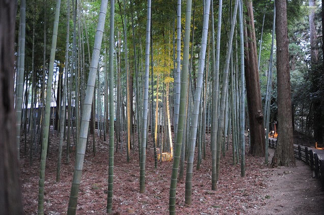 2013.3.22 044.JPG