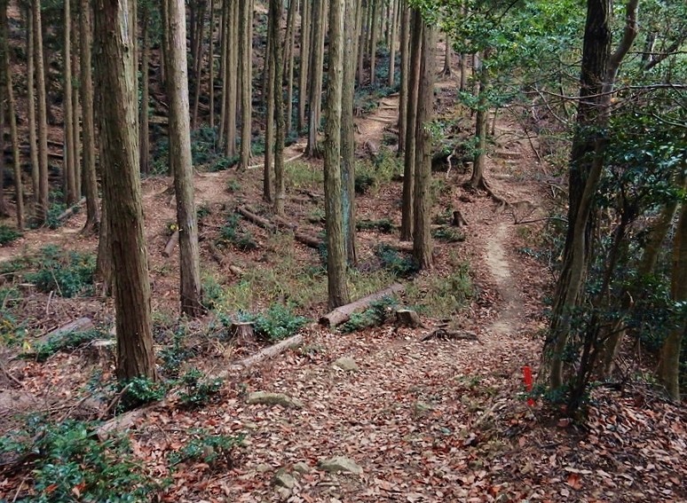 里山防災林