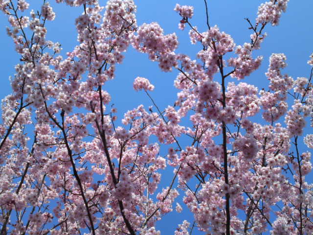 2012-03-30 17:57:14