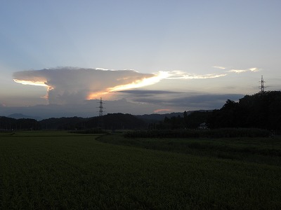 DSCN9775.jpg