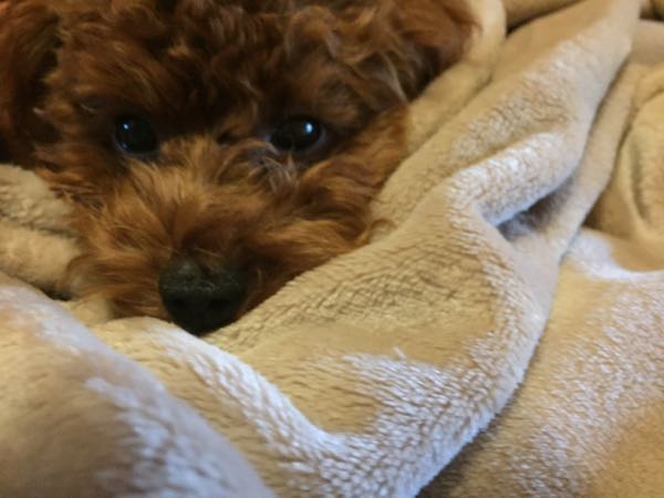 rblog-20160211175618-01.jpg