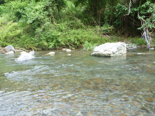 resize0020.jpg