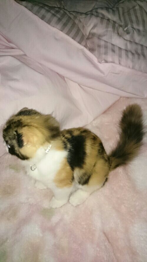 rblog-20161117112350-04.jpg