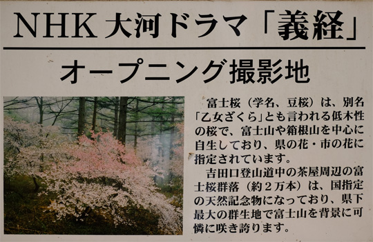 2016 04 20_3762のコピー.jpg