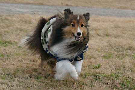 DSC07038.jpg