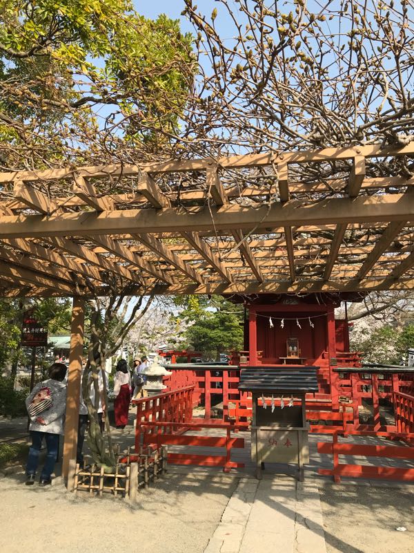 rblog-20180329185213-02.jpg