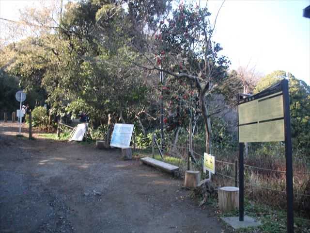 初乗り 3月14日 で鎌倉へ その3 稲村ガ崎から源氏山公園へ おじん0523のヒロ散歩 楽天ブログ