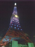 2013.09.03 tokyo tower pic 1.JPG