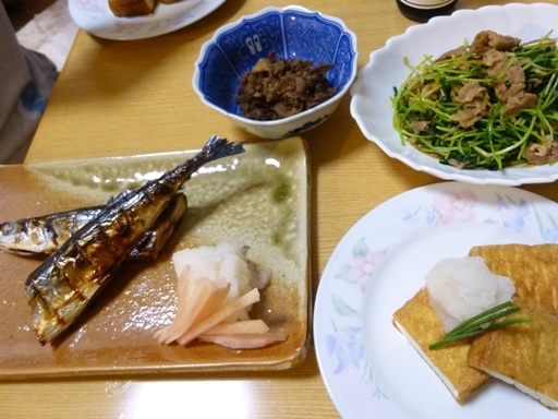 P1170875.JPG