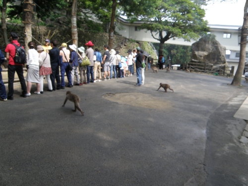 20140601_684.jpg