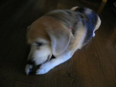 P1190080 - コピー.JPG