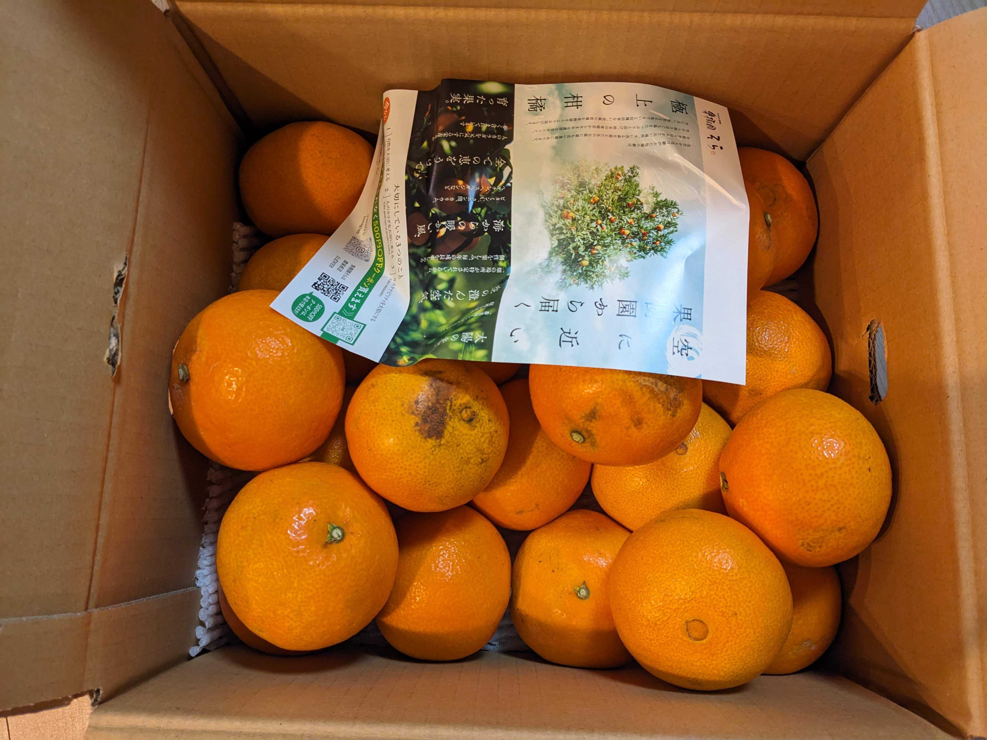 八幡浜市へのふるさと納税の返礼品 天空の果樹園から届く 紅まどんな