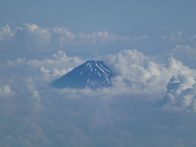P1000143.jpg