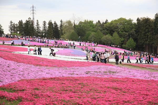 ５月５日.jpg