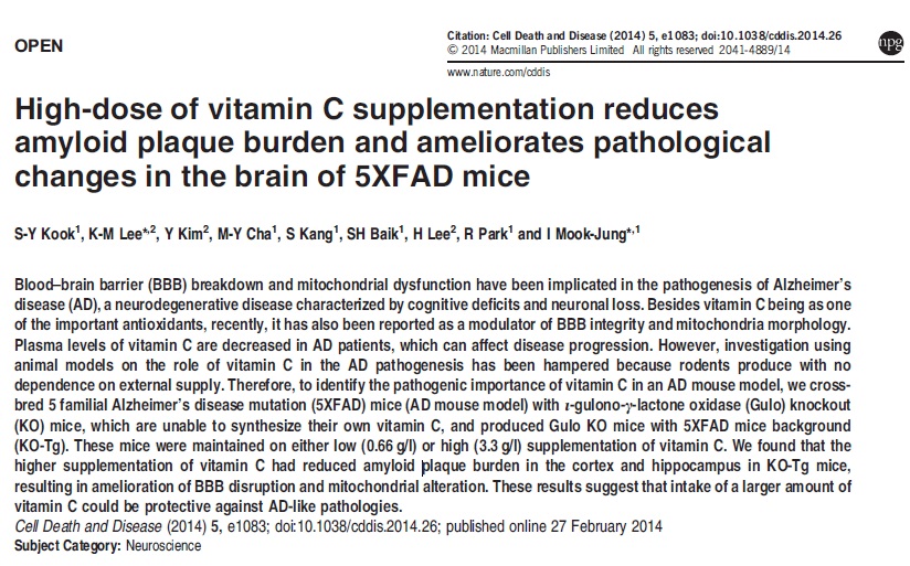 20150201@高濃度ビタミンC補充はアルツハイマー病マウスにおけるアミロイド沈着を減らし病理変化を改善する