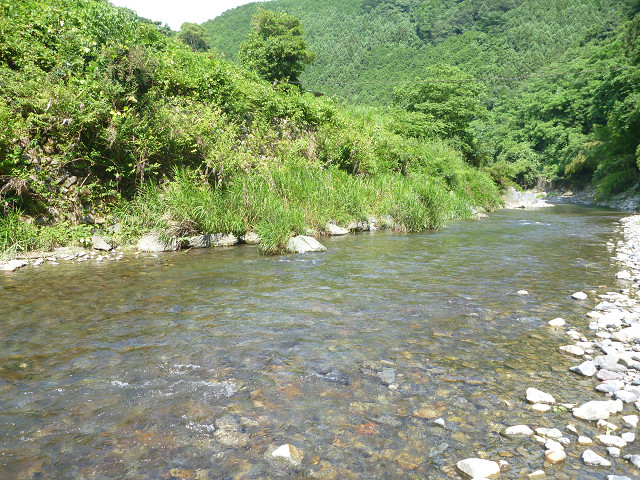 resize0005.jpg