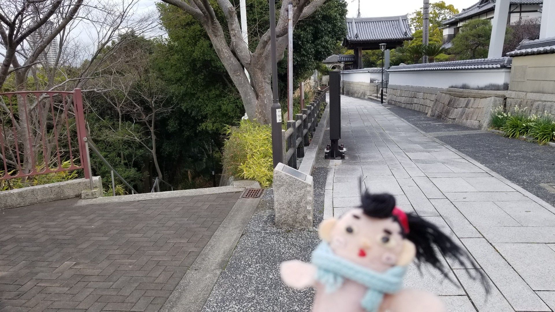 【江戸時代】松平斉韶墓 よしだ まりこ の 絵日記 楽天ブログ