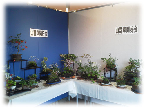 20151020-6.jpg
