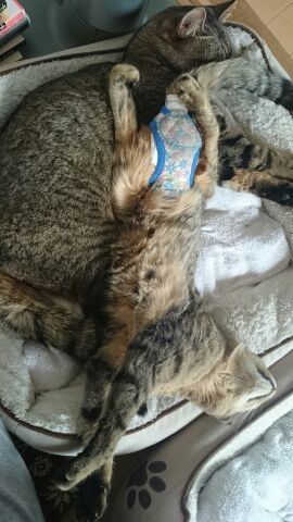 rblog-20141216100049-04.jpg