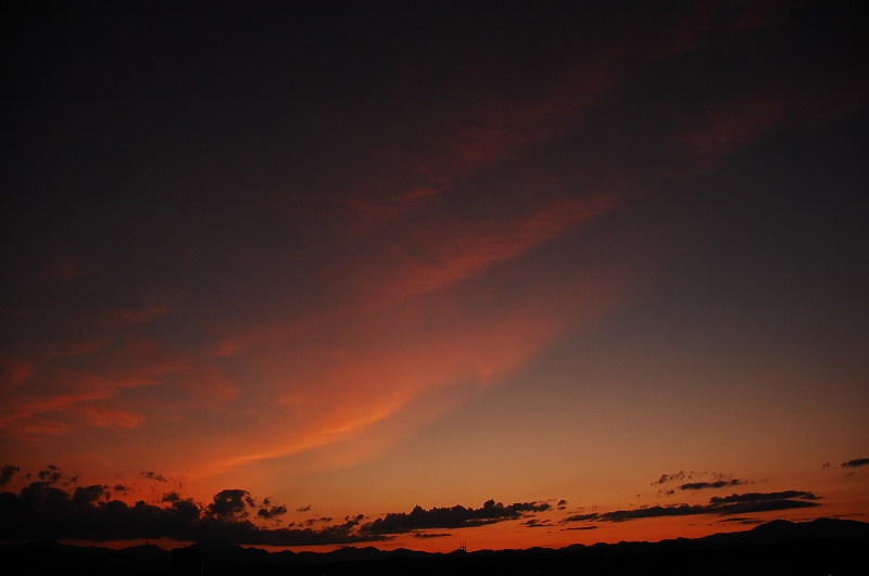 D40 234.jpg