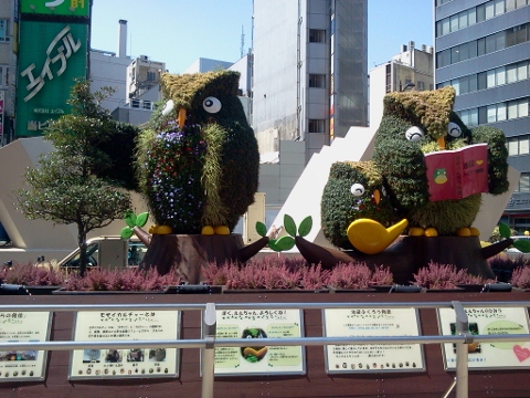 2012-04-12 12.46.39 (480x360).jpg