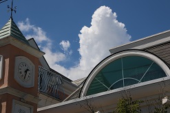 IMG_2844-15.jpg