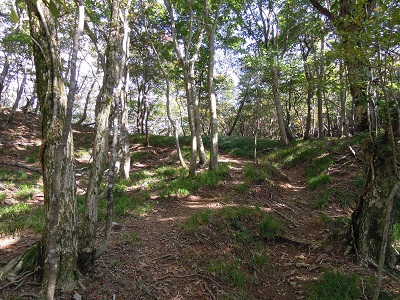 DSCN6147s.jpg