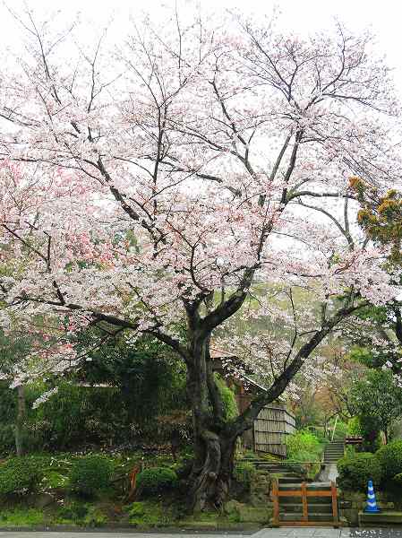 建長寺