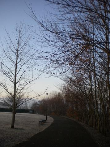２／１１　朝の公園.JPG