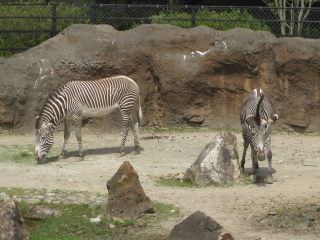 IMG_2317_SP0000.JPG