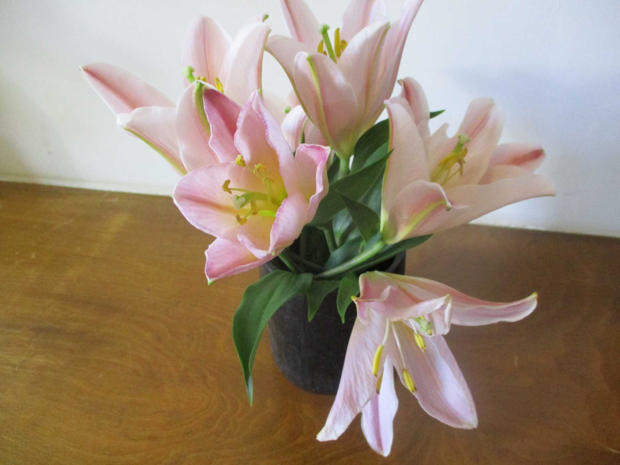 晴　陶　句　読