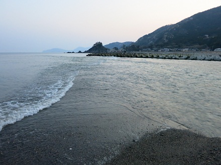 IMG_2296.jpg