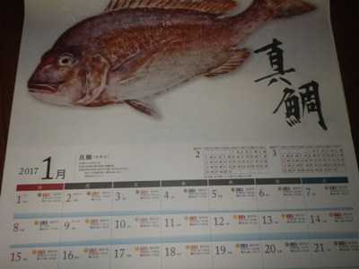 IMGP5280.JPG