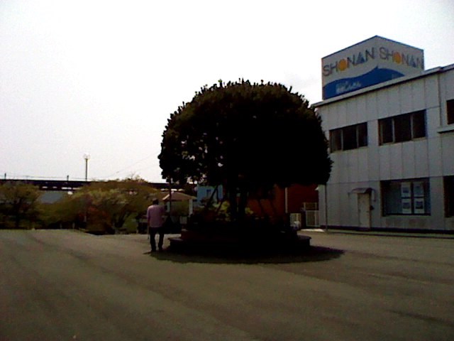 K3330029.JPG