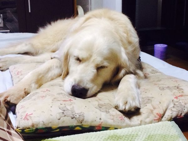 rblog-20140328103139-01.jpg