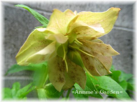 20160506 008.JPG