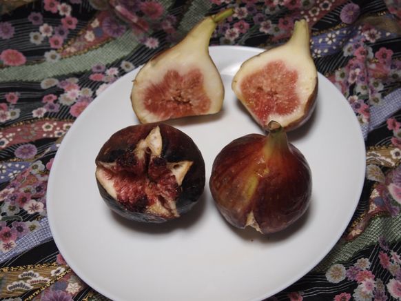 完熟いちじく