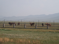 20150813P813606445.jpg