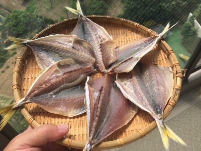 170610アジの干物