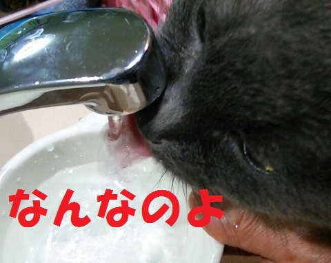 2015033107.jpg