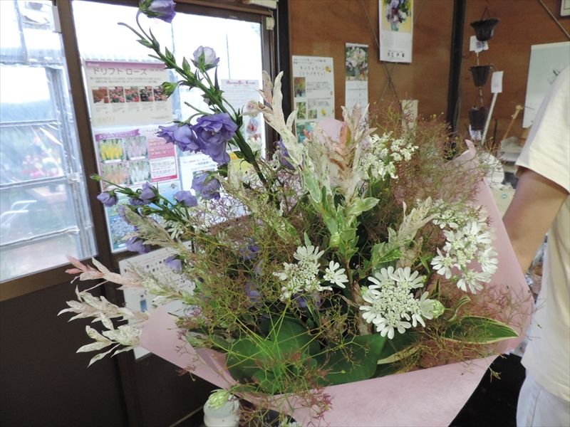 ミレット 田舎の花屋日記 楽天ブログ