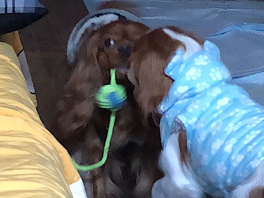 rblog-20190106225149-03.jpg