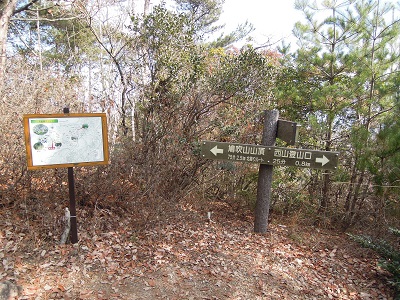 DSCN6302s.jpg