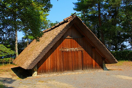 IMG_9918.jpg