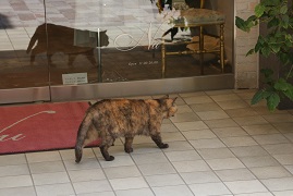 IMG_3988-25.jpg