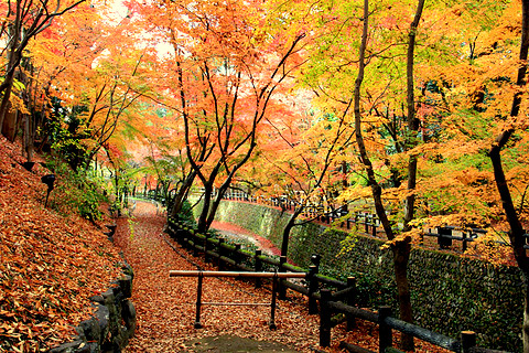 北野天満宮の紅葉-2