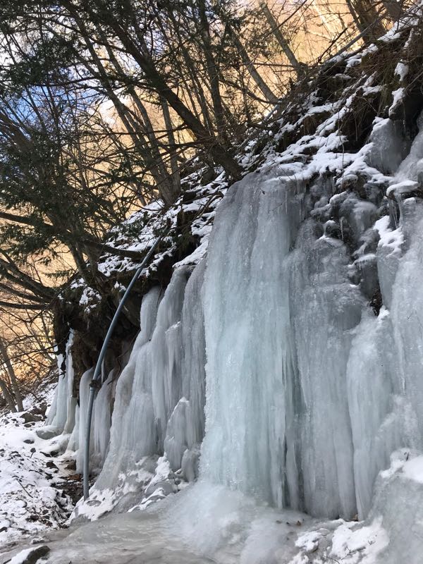 rblog-20180130015731-09.jpg